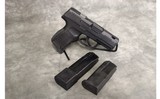 Sig Sauer~P365 SAS~9mm - 1 of 3