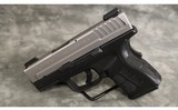 Springfield~XD-45 Sub Compact~45 ACP - 2 of 3