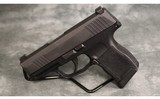 Sig Sauer~P365~9mm - 2 of 3