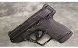 Smith & Wesson~M&P9 Shield Plus~9mm - 2 of 3