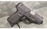 Taurus~PT111 G2~9mm - 1 of 2