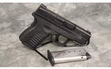Springfield Armory~XDS-45 3.3~45 ACP - 1 of 3