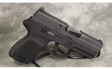 Sig Sauer~P250~9mm - 1 of 3