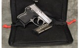 NAA~Guardian~32 ACP - 3 of 3
