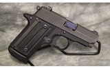 Sig Sauer~P238~380 Auto