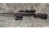 Ruger~10/22 Carbine~22 LR - 2 of 3