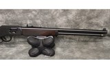 Henry~Big Boy~44 Magnum - 3 of 4