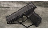 Sig Sauer~P365~9mm - 2 of 3