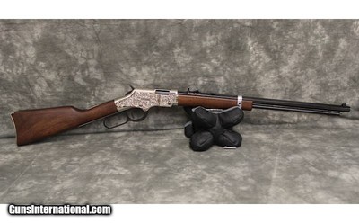 Henry~Silver Eagle~22 S,L & LR