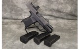 Sig Sauer~P365~9mm - 3 of 3