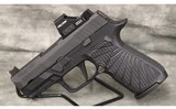 Sig Sauer~P320~9mm - 2 of 4
