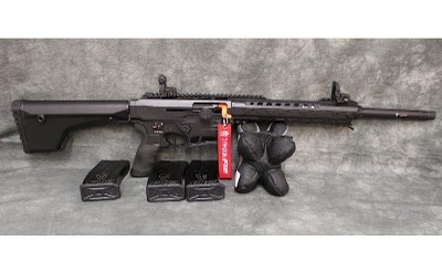 Typhoon Defense~F12~12 gauge