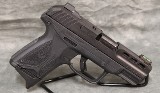 Ruger~Security-380~380 ACP