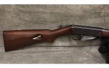 Remington~24~22 LR - 2 of 5