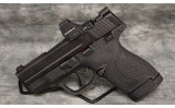 Smith & Wesson~M&P9 Shield Plus~9mm - 2 of 4