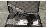 Sig Sauer~P365~9mm - 3 of 4