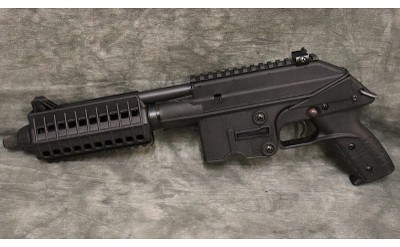 Kel-Tec~PLR-22~22 LR - Image 3 of 5