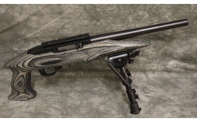 Ruger~22 Charger~22 LR - Image 2 of 5