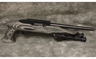 Ruger~22 Charger~22 LR - Image 4 of 5