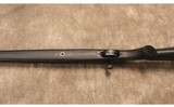 Remington ~ 700 ~ .30-06 - 9 of 9