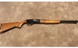 Winchester ~ 190 ~ .22 LR - 1 of 10