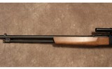 Winchester ~ 190 ~ .22 LR - 5 of 10