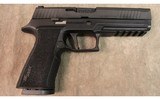 Sig Sauer ~ P320 X Ten ~ 10 mm auto - 1 of 2