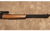 Winchester ~ 190 ~ .22 LR - 8 of 10