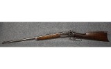 Winchester 1894 .30 WCF - 10 of 10