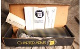 Charter Arms AR-7 - 13 of 15