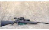 Savage ~ 93R17 ~ .17 HMR - 1 of 10