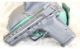 Smith & Wesson ~ M&P9 Shield EZ Performance Center ~ 9mm Luger - 2 of 2