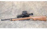 Ruger ~ 10/22 ~ .22 Long Rifle