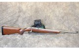 Ruger ~ American Rimfire ~ .22 Long Rifle