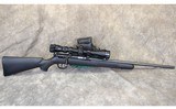 Savage ~ 93 ~ .22 WMR