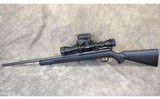 Savage ~ 93 ~ .22 WMR - 2 of 2