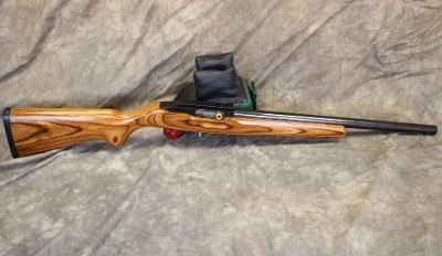 Ruger ~ 10/22 ~ .22 Long Rifle