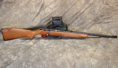Marlin ~ 925M ~ .22 WMR
