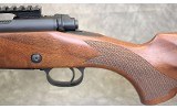 Winchester ~ 7 Safari Express ~ .416 Remington Magnum - 10 of 13