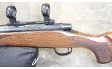 Remington ~ Model 7 ~ .308 Winchester - 9 of 15