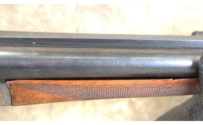 AYA ~ Boxlock ~ 10 Gauge - Image 5 of 16