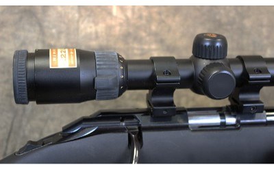 Ruger ~ American ~ .22 Magnum - Image 5 of 16