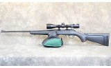 Ruger ~ American ~ .22 Magnum - Image 15 of 16