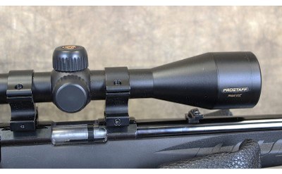 Ruger ~ American ~ .22 Magnum - Image 6 of 16