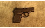 SMITH & WESSON ~ M&P BODYGUARD 380 ~ 380acp - 2 of 4