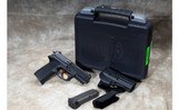 SIG Sauer ~ SP2022 ~ 9mm - 1 of 3