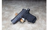 Kimber ~ Micro Carry ~ .380 ACP - 3 of 3