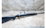 Ruger ~ All-Weather 77/22 ~ .22 WMR - 1 of 10