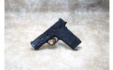 Smith & Wesson ~ M&P9 Equalizer ~ 9mm Luger - 3 of 3