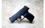 SIG Sauer ~ P365 380 ~ .380 ACP - 3 of 3